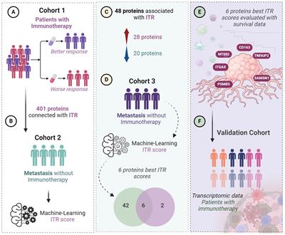 Predicting immune checkpoint therapy response in three independent metastatic melanoma cohorts